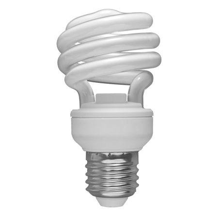 Picture for category Compact Fluorescent Globes