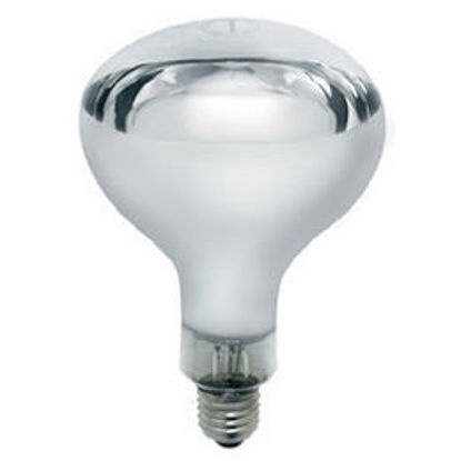 Picture of Industrial Grade Hard Glass Infra Red Heat Lamp