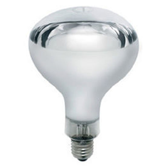 Picture of Industrial Grade Hard Glass Infra Red Heat Lamp