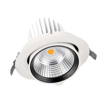 Picture for category LED Downlights