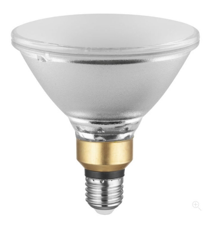 Picture for category LED PAR 20 and 38 Lamps