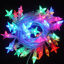 Picture of Multi Colour LED String Light Set with Star Cover (10 meters & 20 meters)