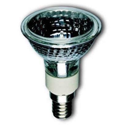 Picture of ASI HI-SPOT 50 Halogen SES E14 (16 pack)