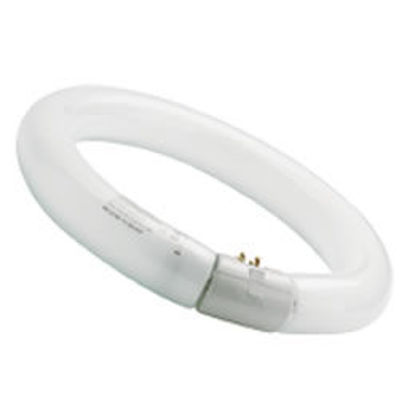 Picture of T9 Halo-Phosphor 29mm Cool White Circular Fluorescent Lamps (12 Pack)