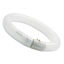 Picture of T9 Halo-Phosphor 29mm Cool White Circular Fluorescent Lamps (12 Pack)
