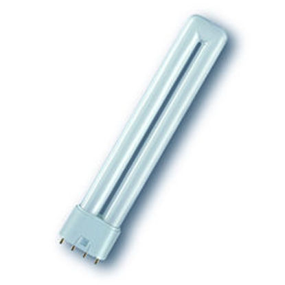 Picture of Ralux Long 4 Pin Compact Fluorescent Lamp (10 Pack)
