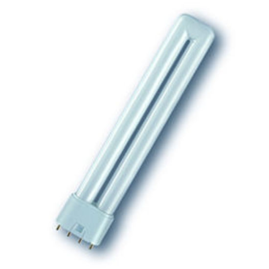 Picture of Ralux Long 4 Pin Compact Fluorescent Lamp (10 Pack)