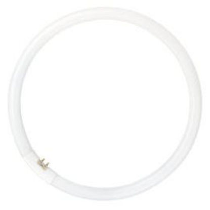 Picture of Osram Energy Saver T5C 16mm FC Circular Fluorescent Lamps (12 pack)