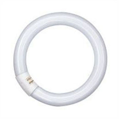Picture of Osram Lumilux T9 C G10q Circular Fluorescent Lamps (12 pack)