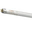 Picture of Sylvania T5 FHO Luxline Plus Triphosphor Tubes (Sold as 25)