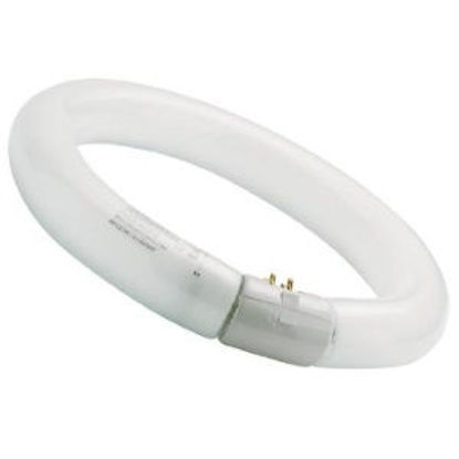 Picture of Sylvania T9 Circline Standard Circular Fluorescent Lamps (Sold as 12)