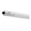 Picture of Sylvania T12 High Output (HO)/Very High Output (VHO) Fluorescent Lamps (Sold as 30)