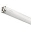 Picture of Sylvania T12 Fluorescent Rapid Start Tri-Phosphor Coated Lamps (Sold as 25)