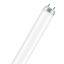 Picture of 30W, T8, Fluorescent Tube (25 Pack)