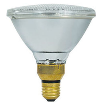 Picture of PAR38 Outdoor Floodlight