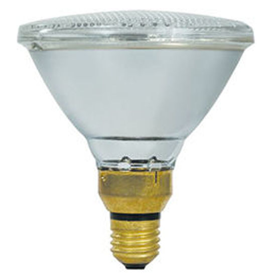 Picture of PAR38 Outdoor Floodlight