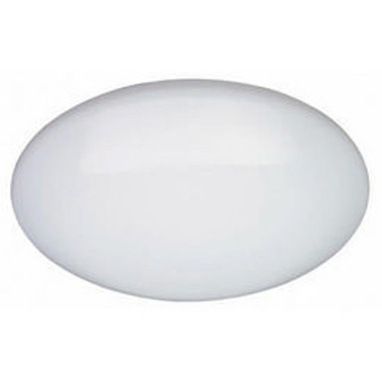 Picture of EX116LK Large 48cm Fluorescent Oyster