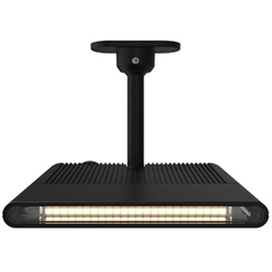 HORNET 20W LED Floodlight