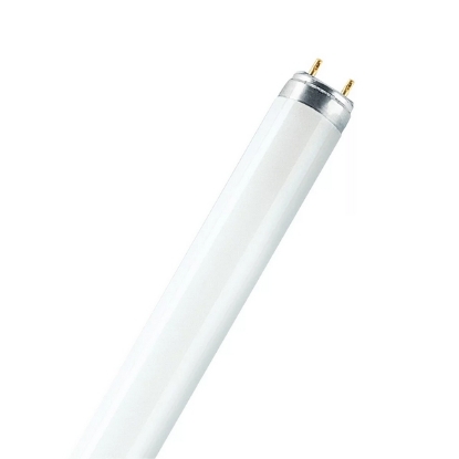 Picture of LEDVANCE Fluora T8 36W Plant Growing Tubes (Sold as 10)