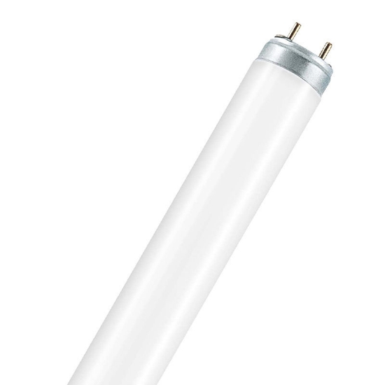 Picture of LEDVANCE LUMILUX T8 36W/5400K Fluorescent Lamp (Sold as 25)