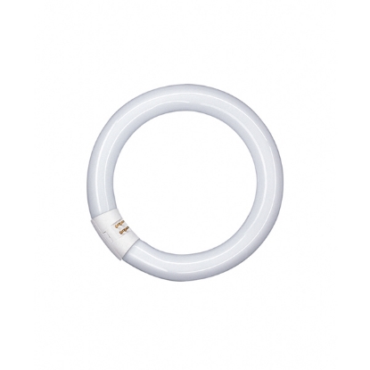 Picture of LEDVANCE Lumilux T9 40W 840 G10Q Circular Fluorescent Lamp (Sold as 12)