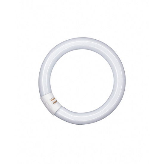 Picture of LEDVANCE Lumilux T9 40W 865 G10Q Circular Fluorescent Lamp (Sold as 12)