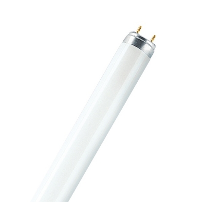Picture of LEDVANCE LUMILUX T8 58W/4000K Fluorescent Lamp (Sold as 25)